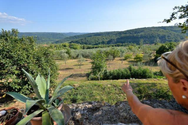 Pensjonat Cozy Istrian House Izola Zewnętrze zdjęcie
