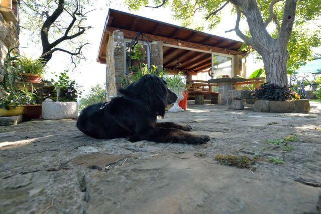 Pensjonat Cozy Istrian House Izola Zewnętrze zdjęcie