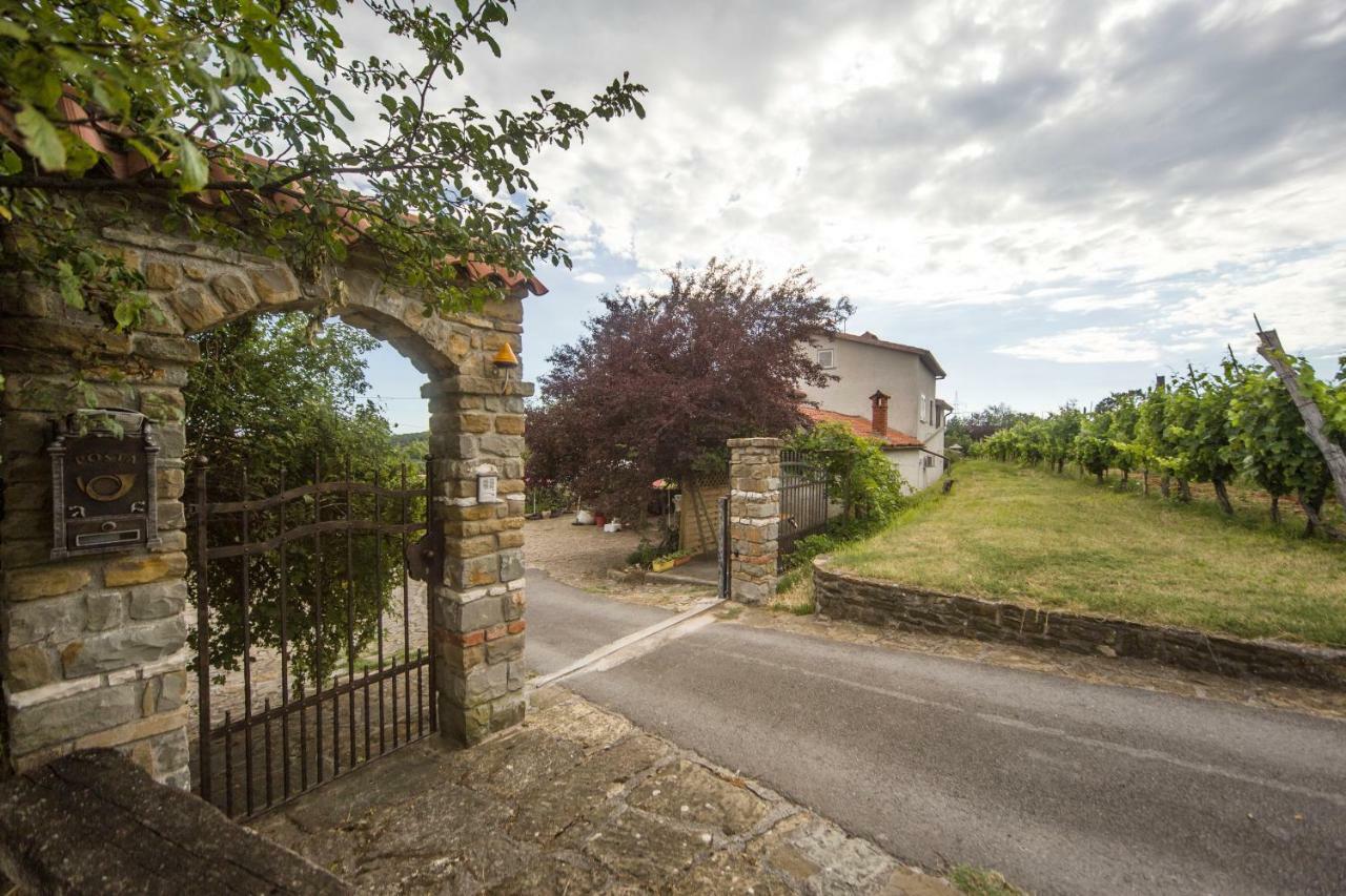 Pensjonat Cozy Istrian House Izola Zewnętrze zdjęcie