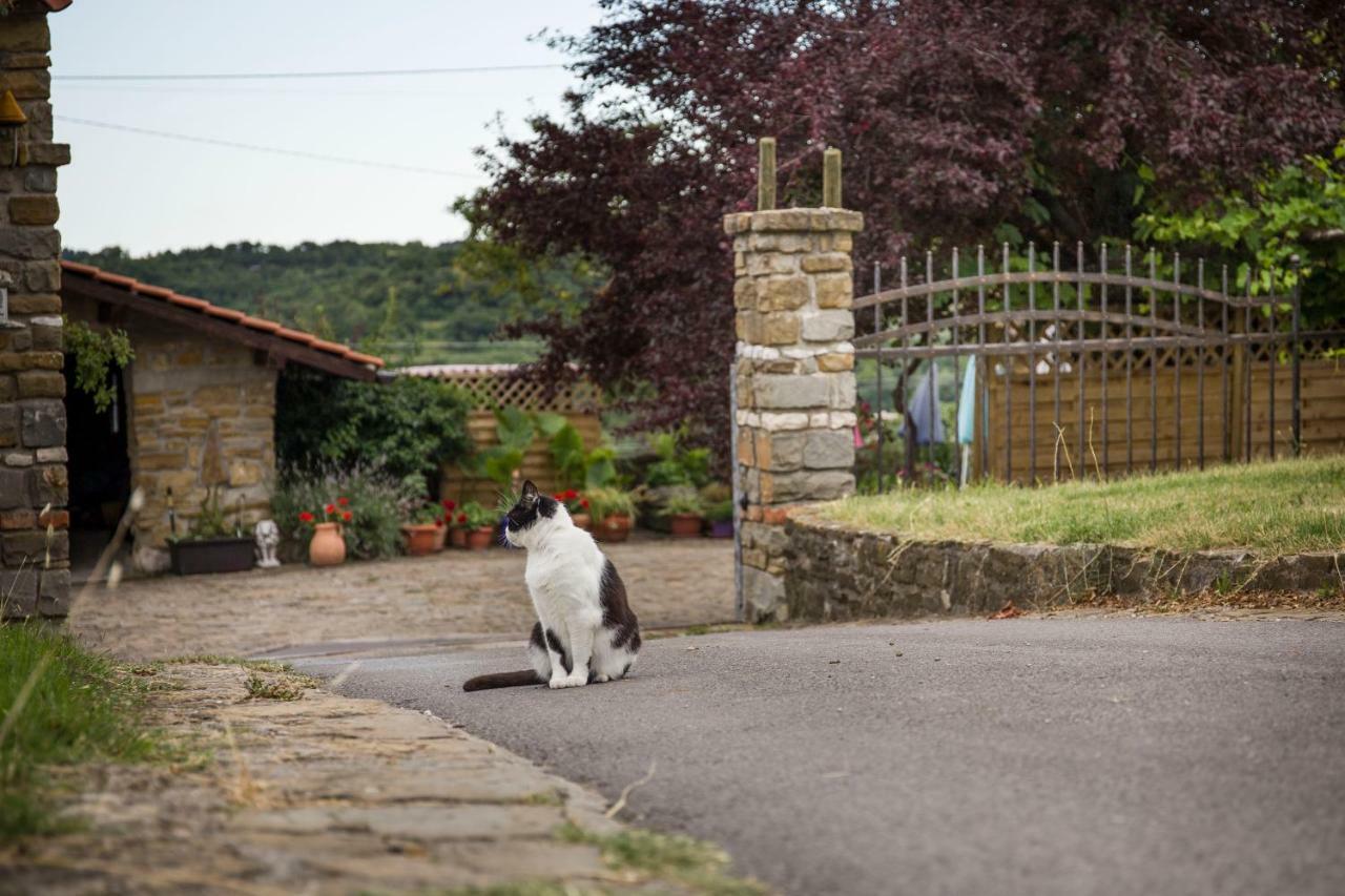 Pensjonat Cozy Istrian House Izola Zewnętrze zdjęcie