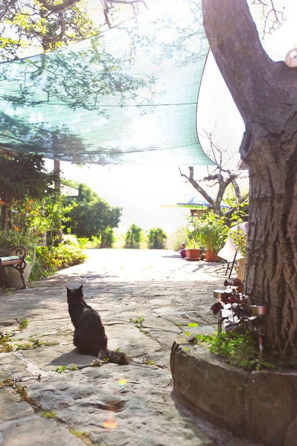 Pensjonat Cozy Istrian House Izola Zewnętrze zdjęcie