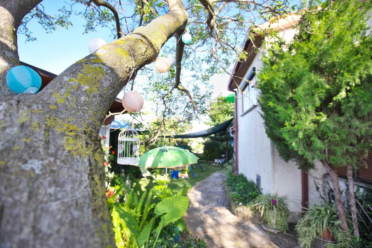 Pensjonat Cozy Istrian House Izola Zewnętrze zdjęcie