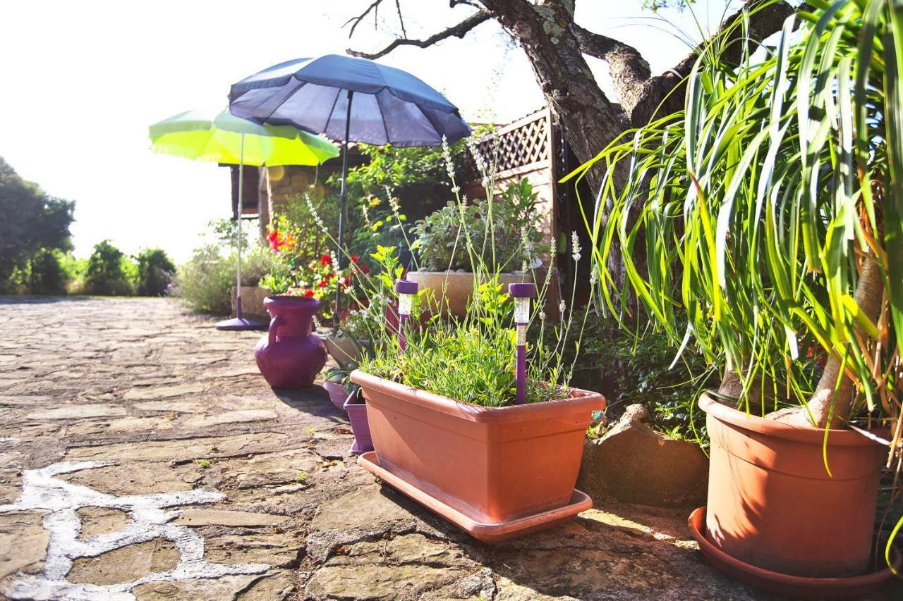 Pensjonat Cozy Istrian House Izola Zewnętrze zdjęcie